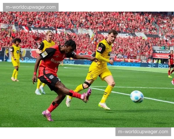 传闻：多家英超俱乐部球探现身看台，考察勒沃库森边卫弗林蓬