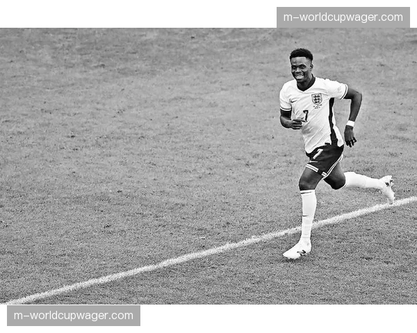 萨卡因腿筋不适缺席英格兰队集训，出战联赛存疑